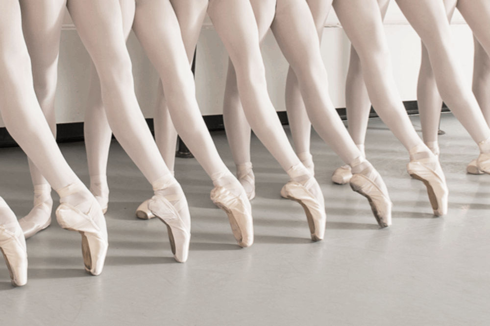 Os 7 Métodos de Ballet - Corpo de Ballet Shop